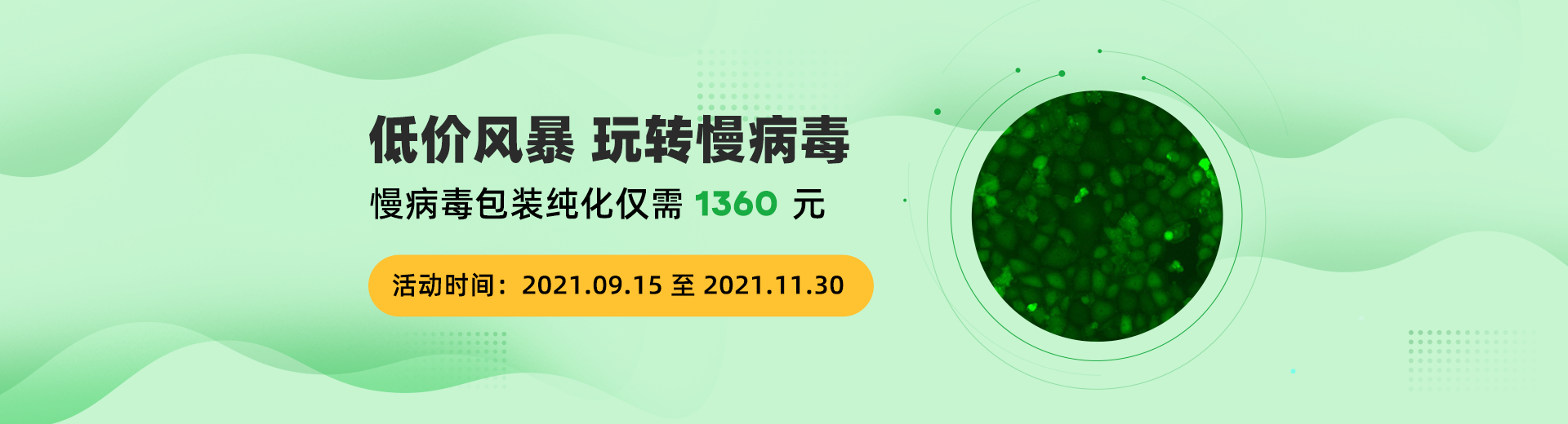 1633937638829050.png